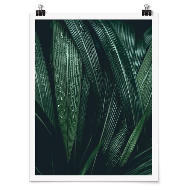 Modern art prints Green Palm Leaves