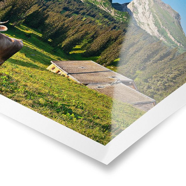 Prints animals Swiss Alpine Meadow With Cow