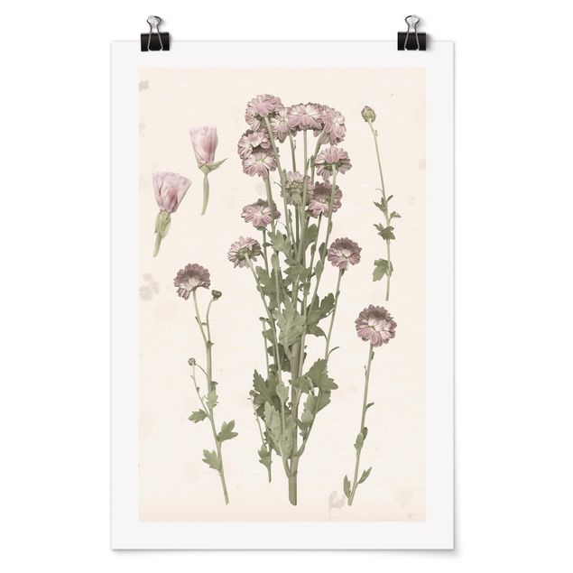 Floral prints Herbarium In Pink I