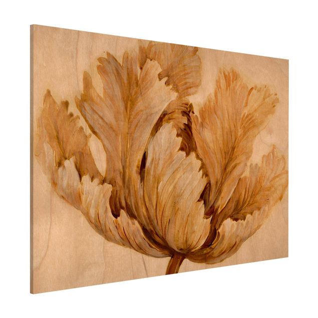 Kitchen Sepia Tulip On Wood