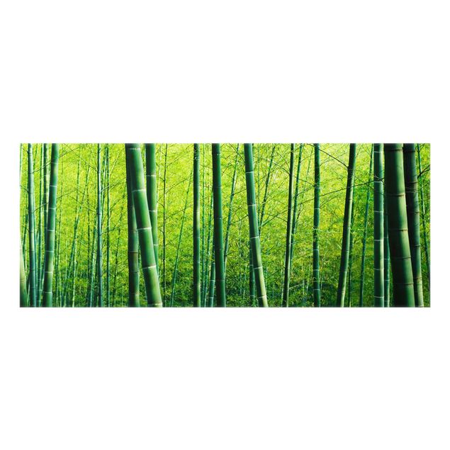 Glass splashback kitchen Bamboo Forest