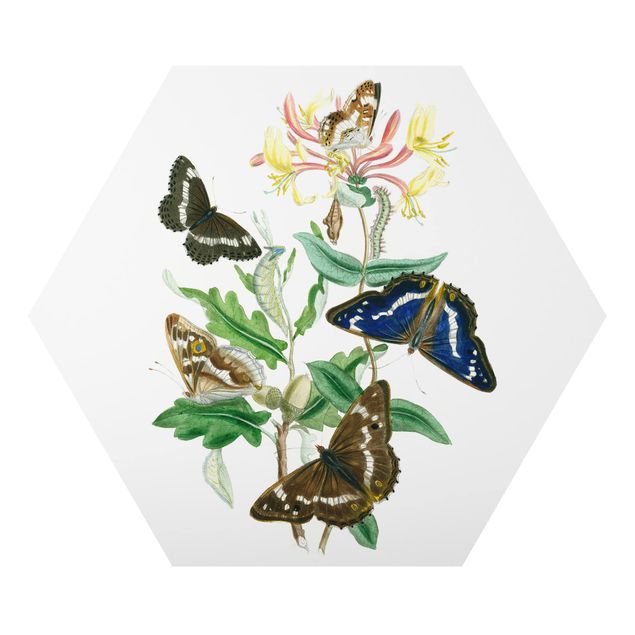 Flower print British Butterflies IV