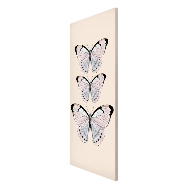 Magnet boards animals Butterfly On Beige