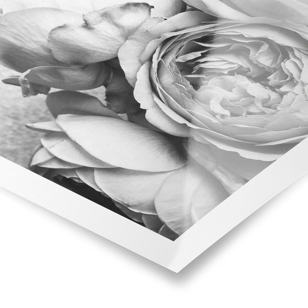 Prints Peony Flowers Black White