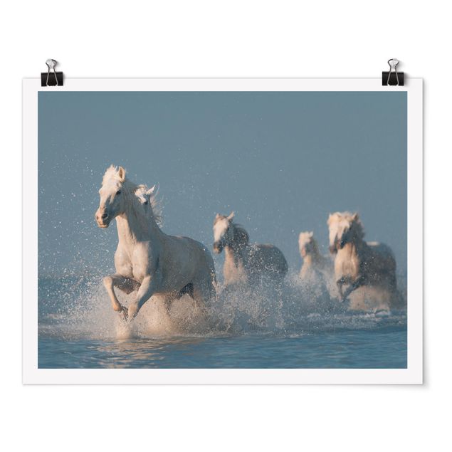 Contemporary art prints Herd Of White Horses