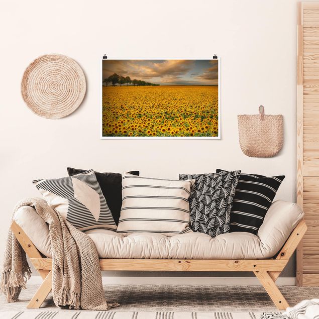 Prints landscape Field With Sunflowers