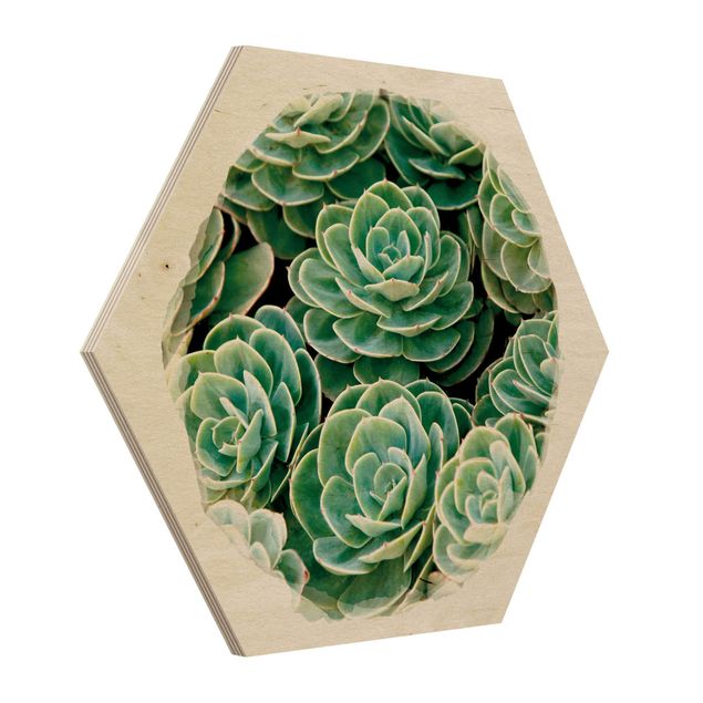 Prints on wood Water Colours - Green Succulents
