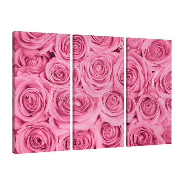 Floral prints Pink Roses