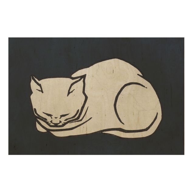 Prints Sleeping Cat Illustration