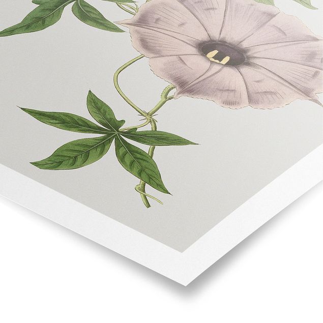 Green canvas wall art Floral Jewelry IV