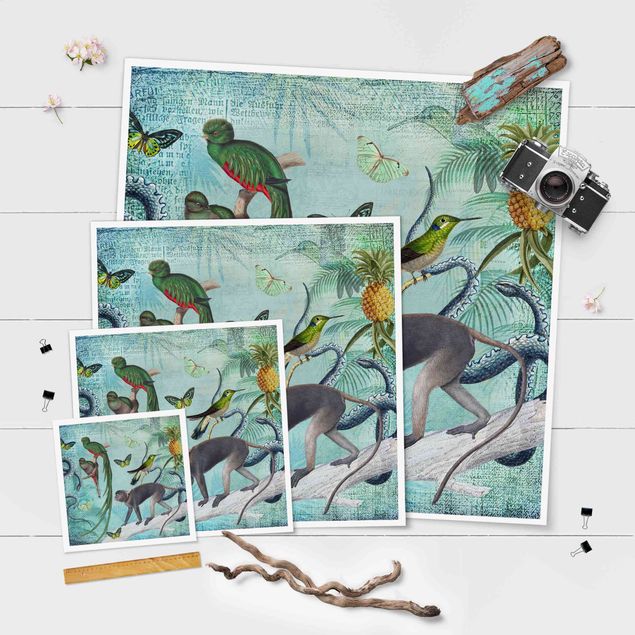 Prints Colonial Style Collage - Monkeys And Birds Of Paradise
