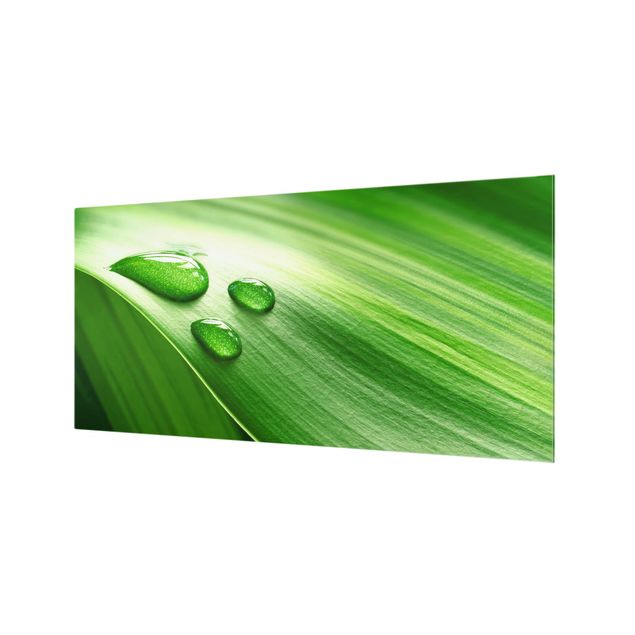 Glass Splashback - Banana Leaf With Drops - Landscape 1:2