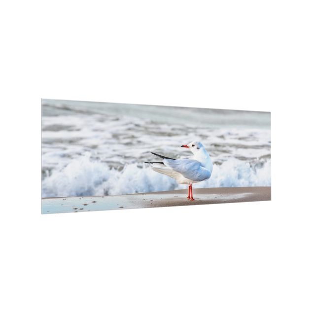 Glass splashback landscape Seagull On The Beach In Front Of The Sea