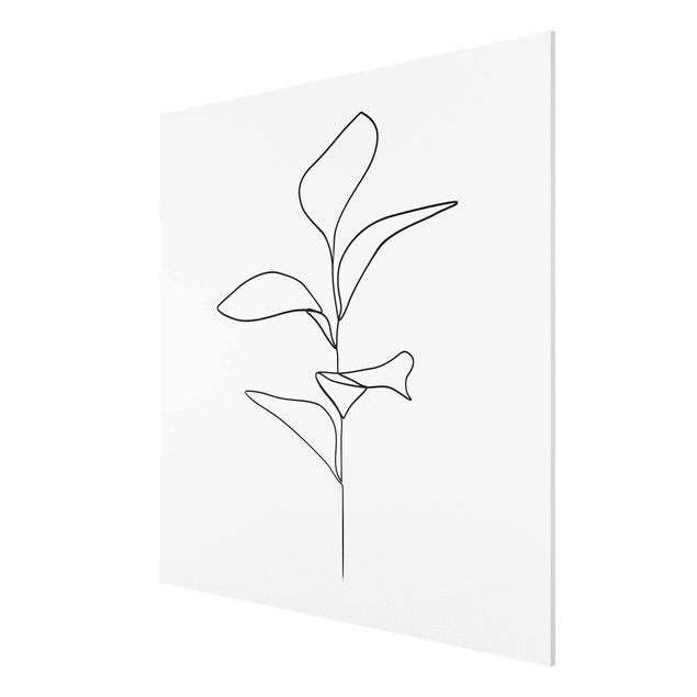 Canvas art Line Art Plant Leaves Black And White