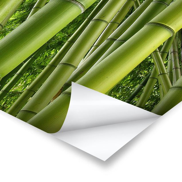 Prints Bamboo Trees No.2