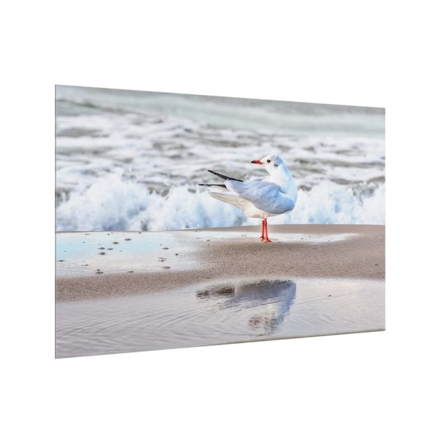 Glass splashback kitchen landscape Seagull On The Beach In Front Of The Sea