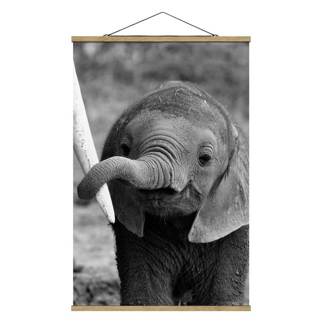 Modern art prints Baby Elephant