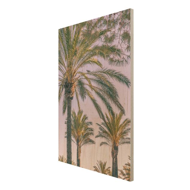 Wood prints landscape Palm Trees At Sunset