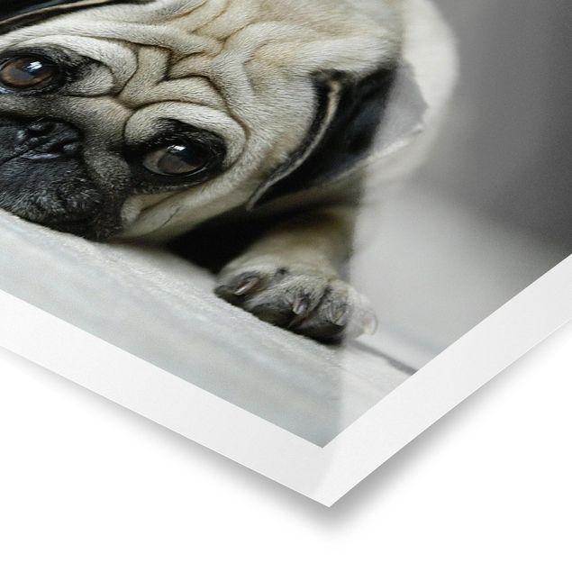 Black and white wall art Pug Loves You