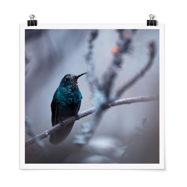 Modern art prints Hummingbird In Winter