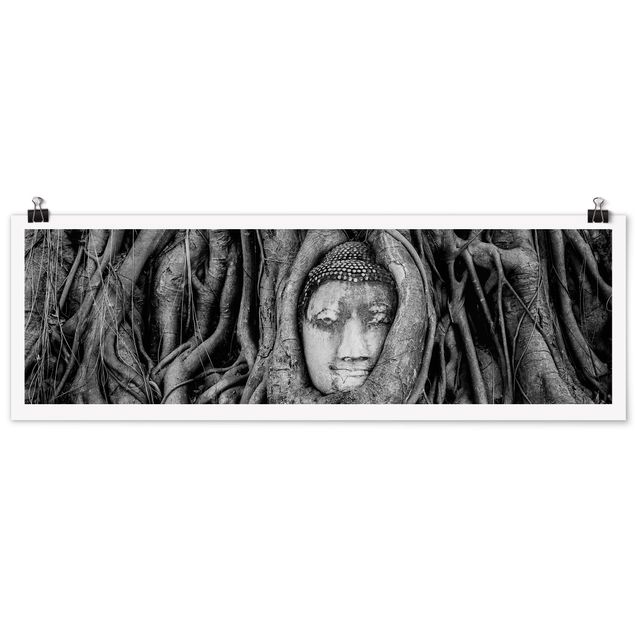 Poster black white Buddha In Ayutthaya Lined From Tree Roots In Black And White