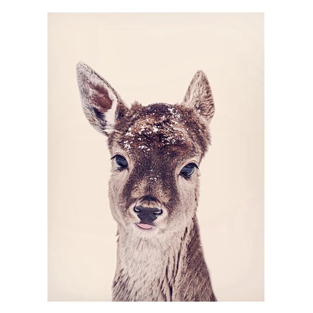 Magnet boards animals Fawn Portrait