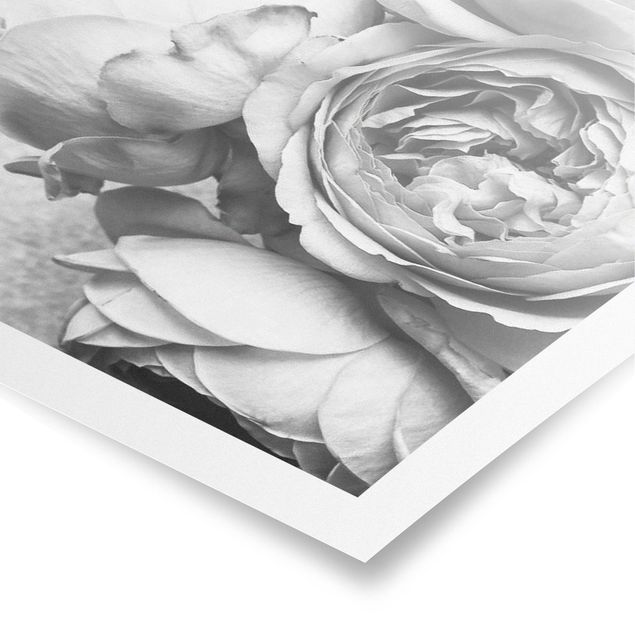 Prints black and white Peony Flowers Black White