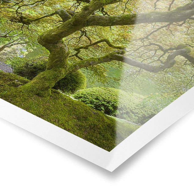 Landscape poster prints Green Japanese Garden