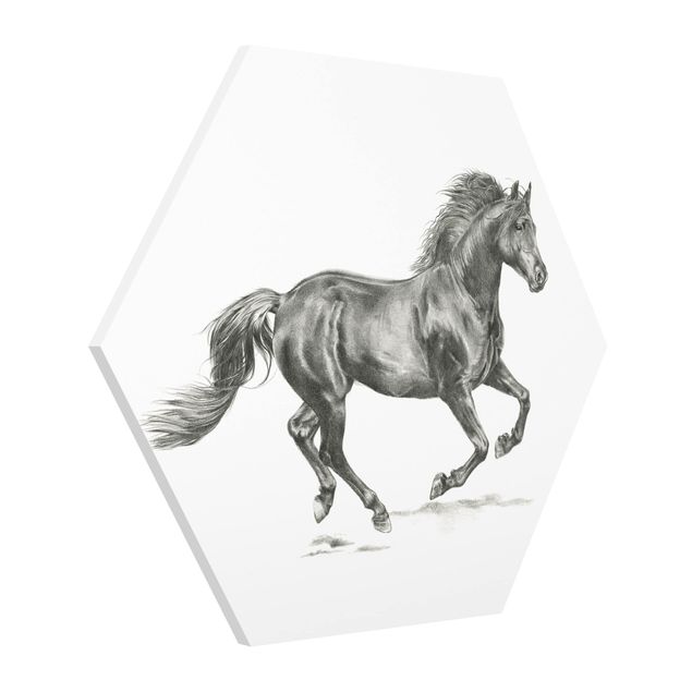 Contemporary art prints Wild Horse Trial - Stallion