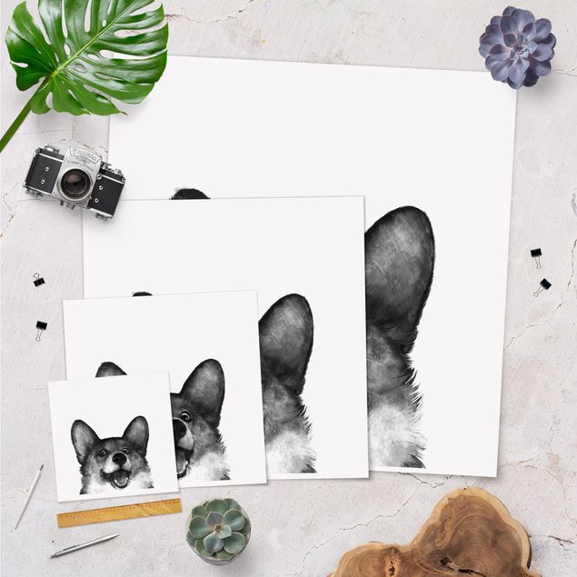 Prints Illustration Dog Corgi Black And White Painting