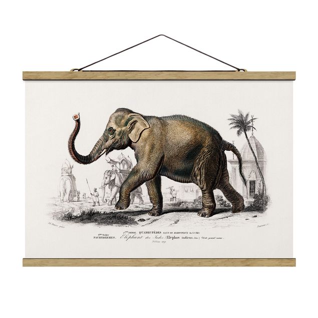 Vintage posters Vintage Board Elephant