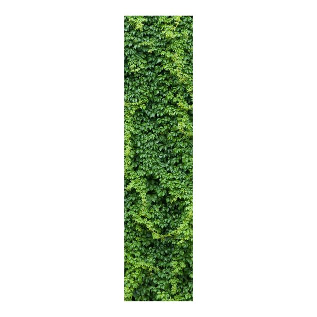 Sliding panel curtains flower Ivy