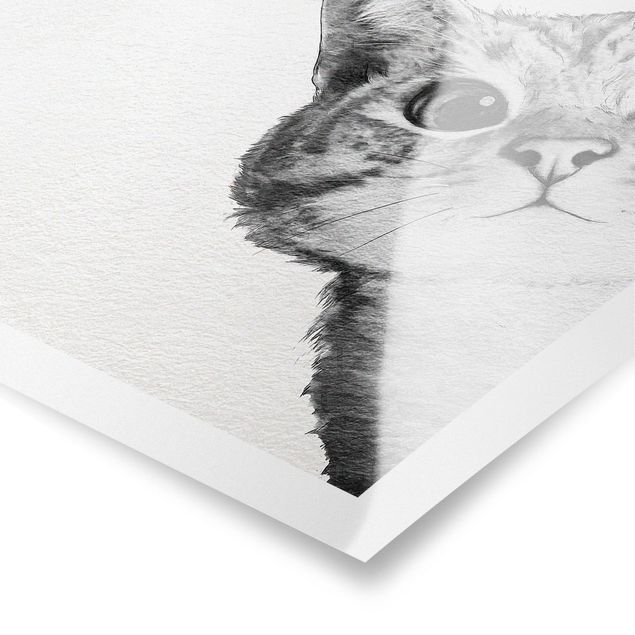 Animal canvas Illustration Cat Drawing Black And White