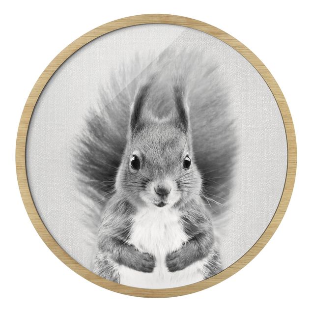 Framed prints black and white Squirrel Elisabeth Black And White