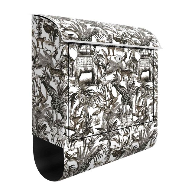 Letterboxes animals Elephants Giraffes Zebras And Tiger Black And White With Brown Tone