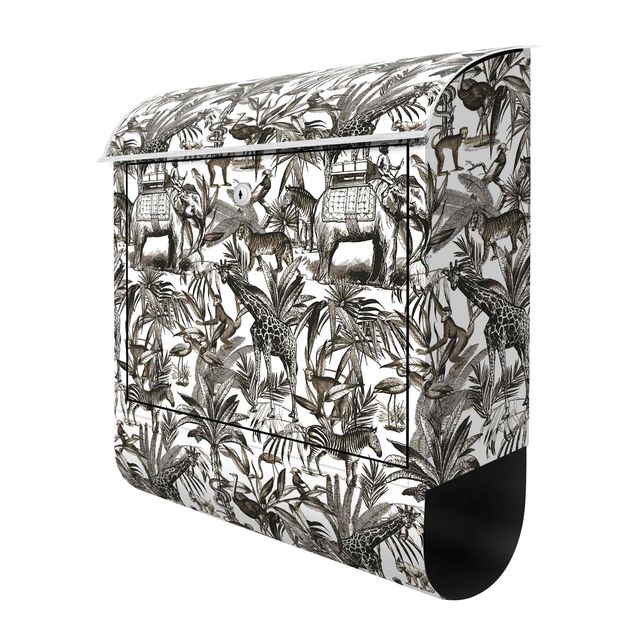 Anthracite grey post box Elephants Giraffes Zebras And Tiger Black And White With Brown Tone