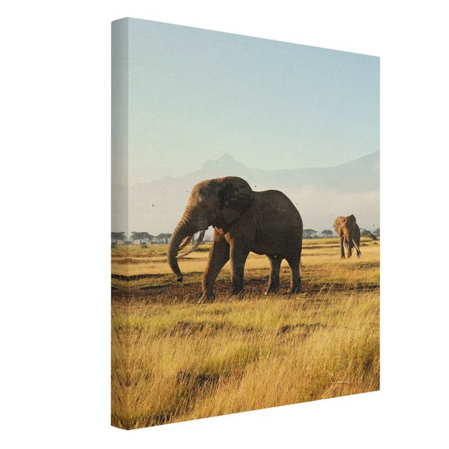 African canvas Elephants In Front Of Kilimanjaro In Kenya