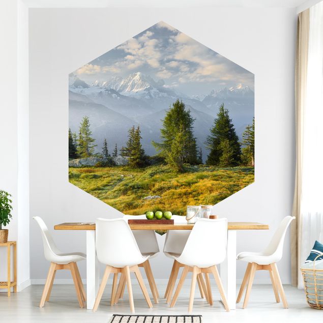 Wallpapers forest Émosson Wallis Switzerland