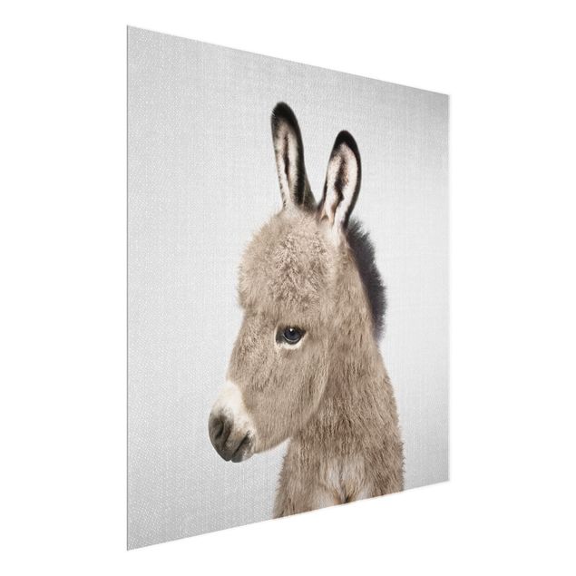 Animal wall art Donkey Ernesto