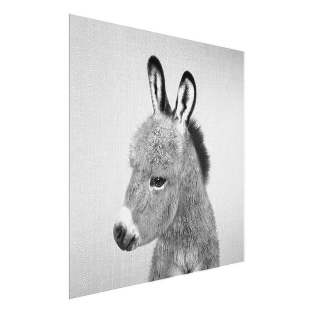 Prints animals Donkey Ernesto Black And White