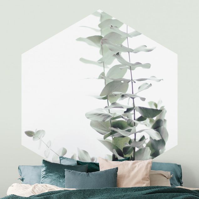Floral wallpaper Eucalyptus In White Light