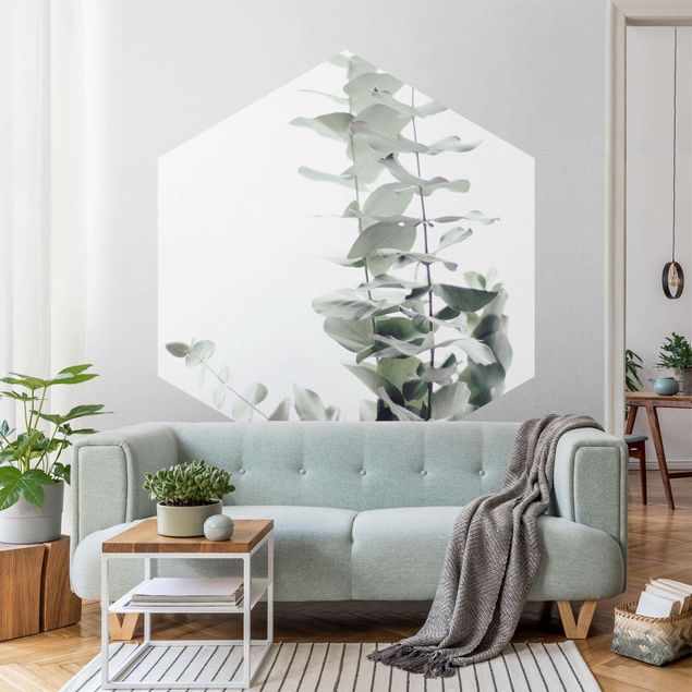 Contemporary wallpaper Eucalyptus In White Light