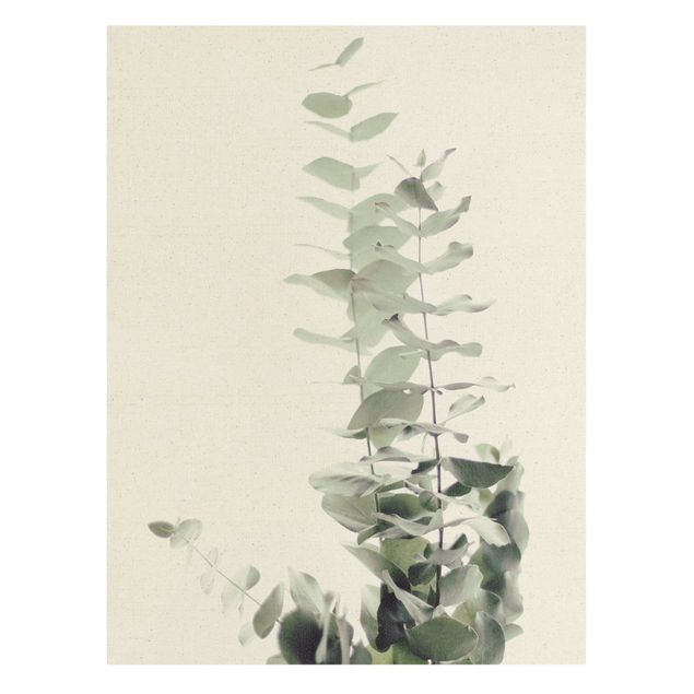 Green art prints Eucalyptus In White Light