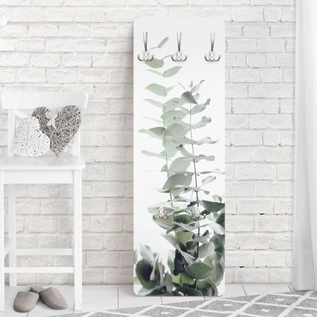 Wall mounted coat rack flower Eucalyptus In White Light