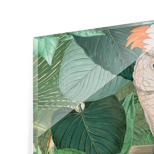 Glass splashback kitchen Vintage Collage - Cockatoo And Hummingbird