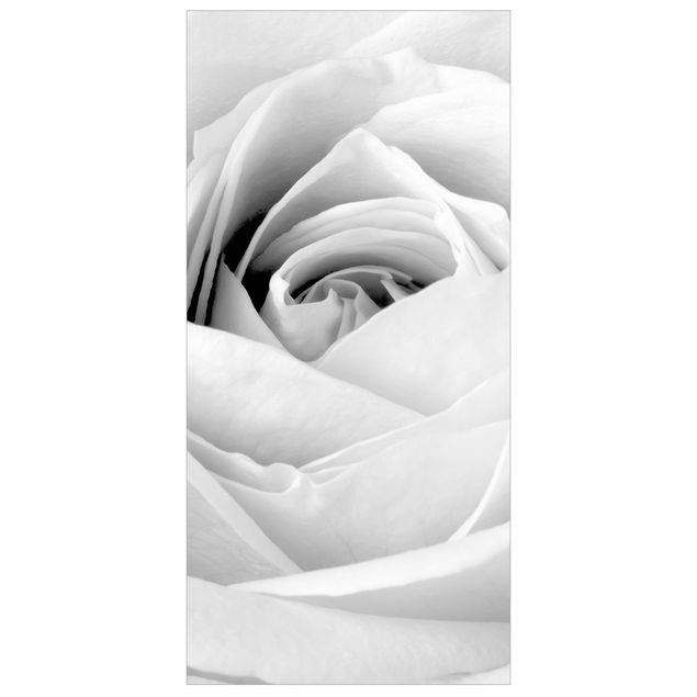 Room divider - Close Up Rose