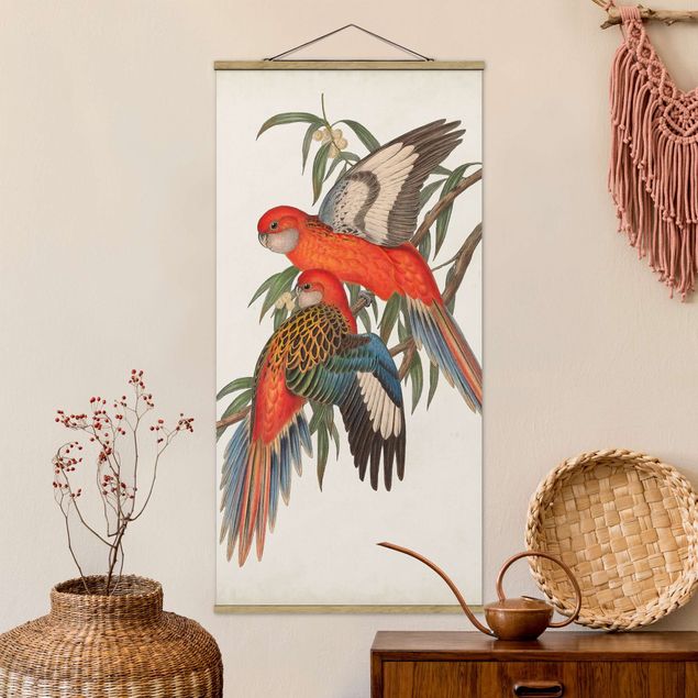 Kitchen Tropical Parrot I