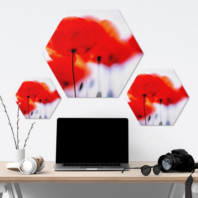 Hexagonal prints Magic Poppies