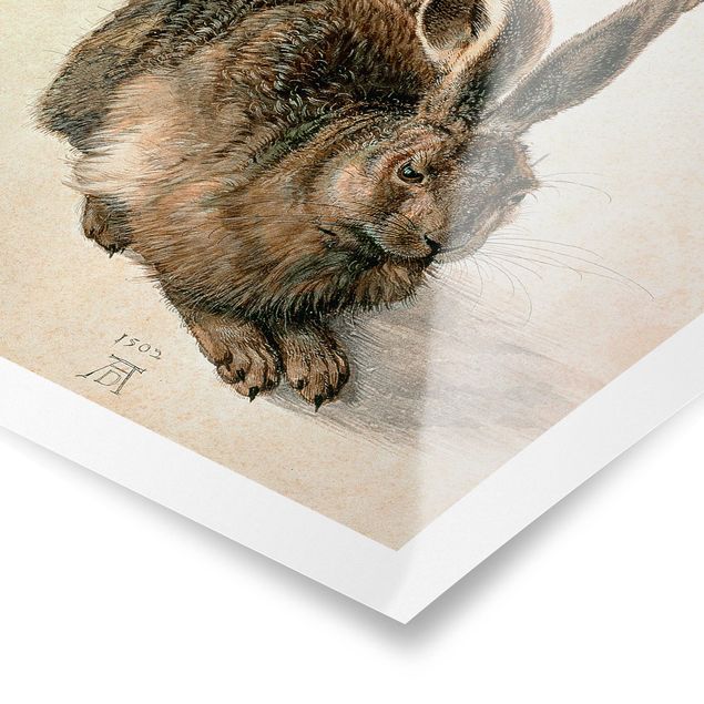 Vintage wall art Albrecht Dürer - Young Hare