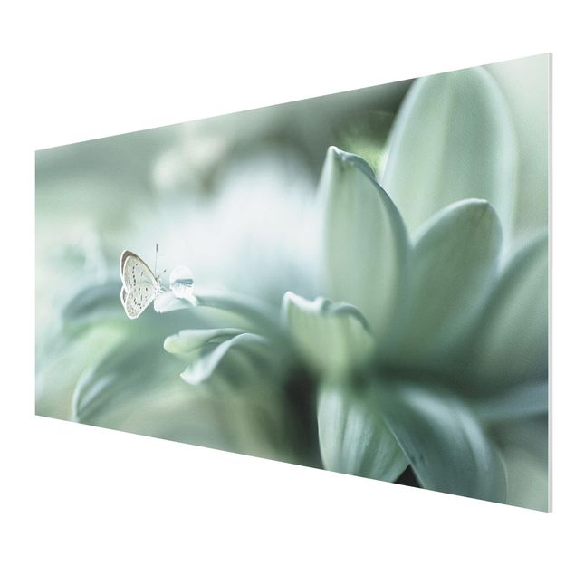 Animal wall art Butterfly And Dew Drops In Pastel Green
